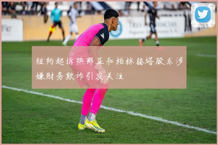 纽约起诉热那亚和柏林赫塔股东涉嫌财务欺诈引发关注